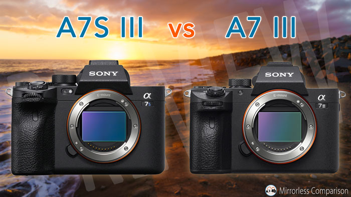 a7s3 and a73 side by side