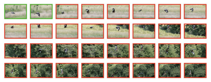 36 thumbnails showing a sequence of images