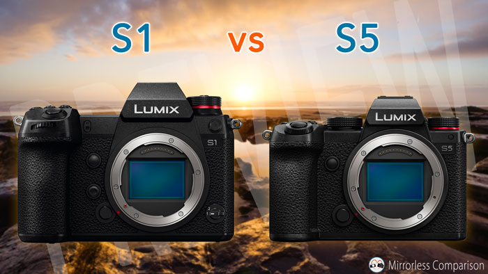 Bedachtzaam projector Bestrooi Panasonic S1 vs S5 - The 10 Main Differences - Mirrorless Comparison