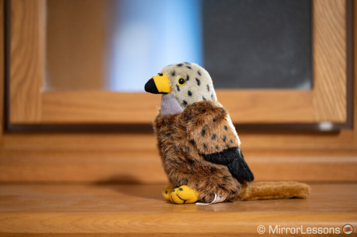 stuff bird toy on a dresser