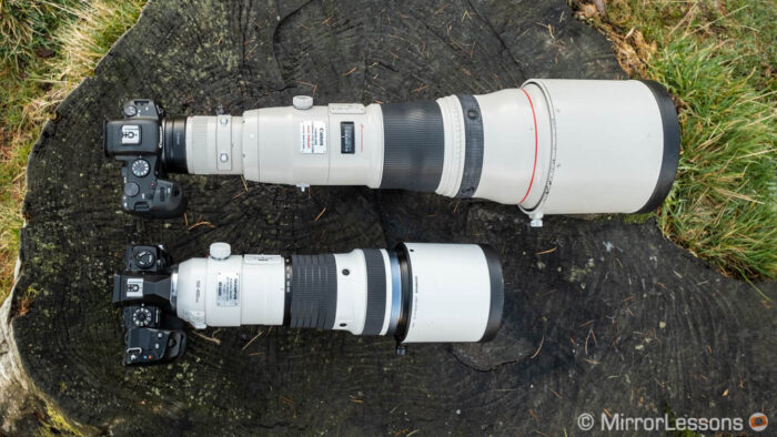 Canon EOS R6 with 800mm attached next to the Olympus OM-D E-M1X with 150-400mm Pro attached, view from the top