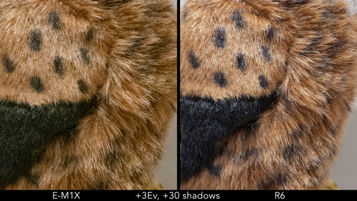 side by side images showing the difference in quality between the Olympus E-M1X and Canon R6 after recovering the exposure