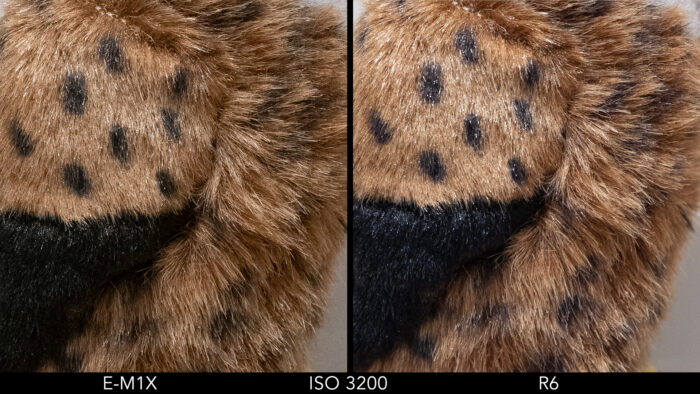 side by side images showing the difference in quality between the Olympus E-M1X and Canon R6 at ISO 3200