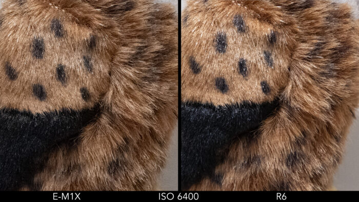 side by side images showing the difference in quality between the Olympus E-M1X and Canon R6 at ISO 6400