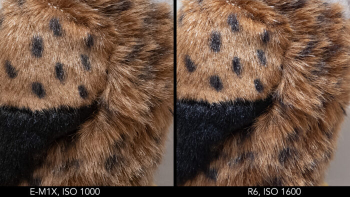 side by side images showing the difference in quality between the Olympus E-M1X at ISO 1000 and Canon R6 at ISO 1600