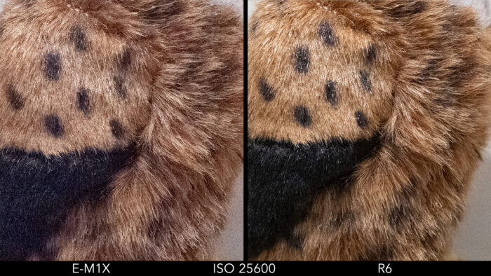 side by side images showing the difference in quality between the Olympus E-M1X and Canon R6 at ISO 25600