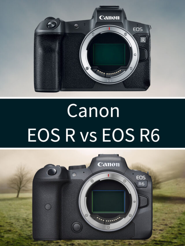 Canon EOS R vs R6 Comparison