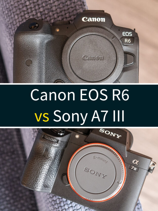 Canon EOS R6 vs Sony A7 III Comparison