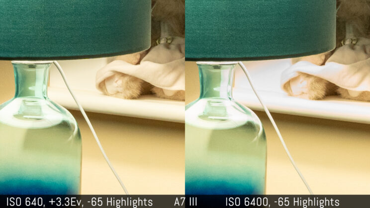 side by side crop showing the quality of the A7 III at ISO 6400 and ISO 640 with -65% highlights recovery in post