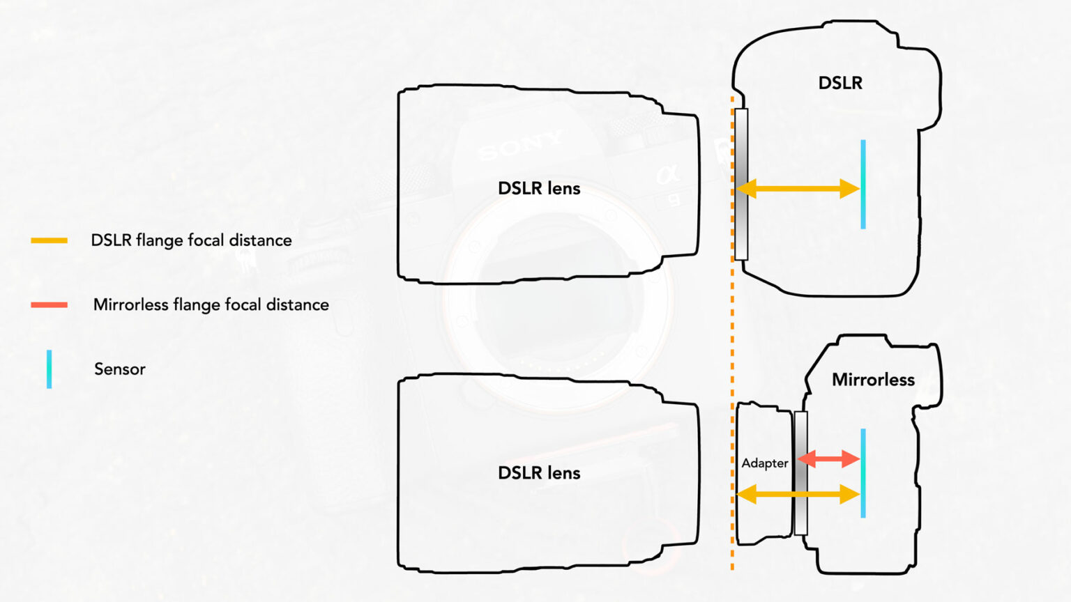 Sony Emount lenses on Nikon Z cameras Techart TZE01 Review