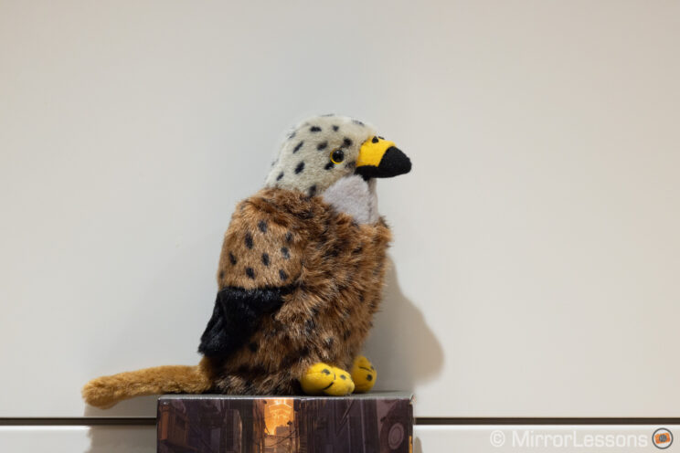 red kite stuffed toy on white background