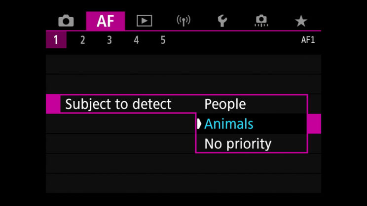 canon menu subject detection setting