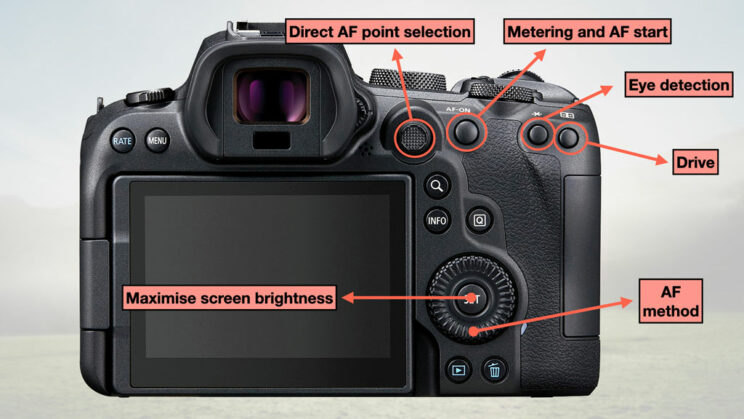 canon r5 autofocus points