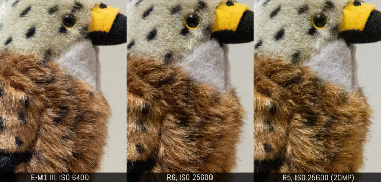 three way comparison with the three cameras, ISO 6400 on the E-M1 III vs ISO 25600 on the two canon (R5 downscaled to 20MP)