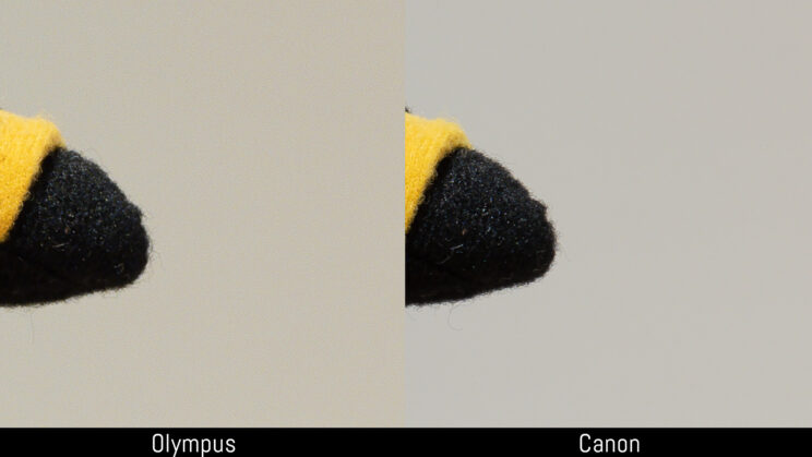 side by side crop showing more grain on the Olympus image on the left after sharpening, in comparison to the R5 image on the right