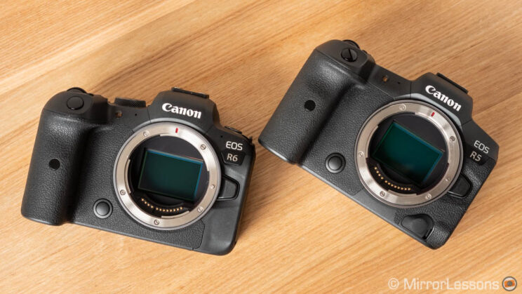 canon r5 and r6 side by side