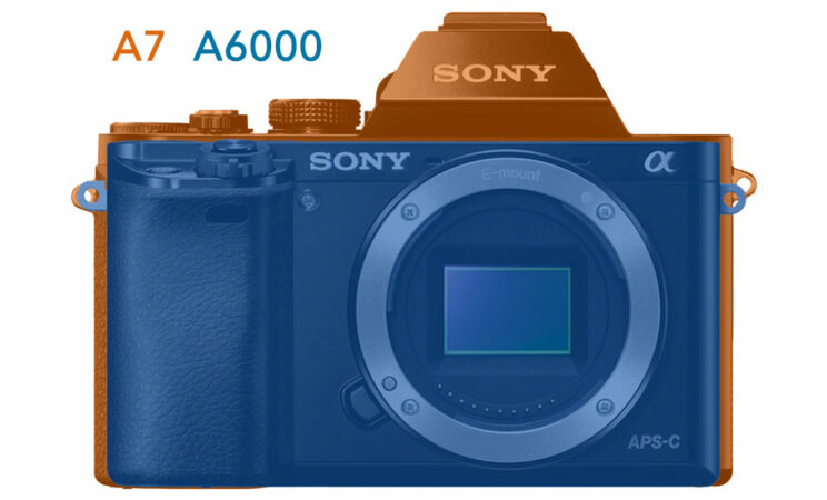 computer edit showing the different in size between the two cameras, front view