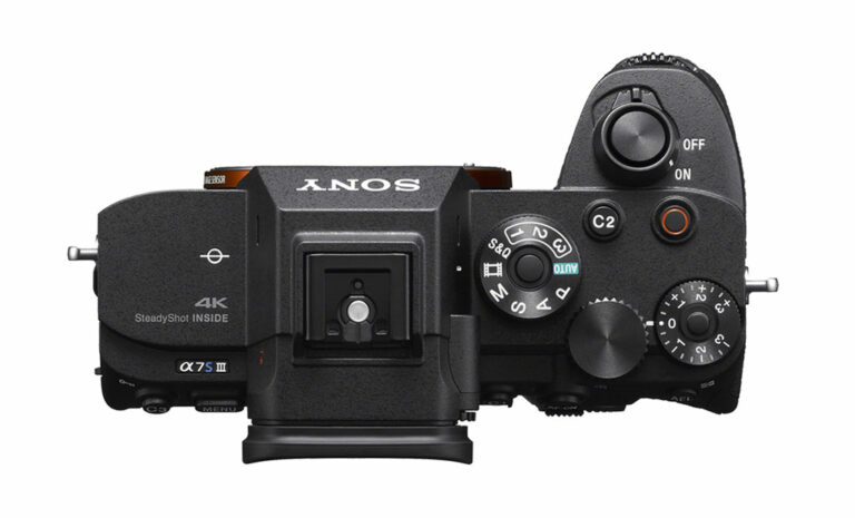 Sony A7S III Vs Canon R5 - The 10 Main Differences - Mirrorless Comparison