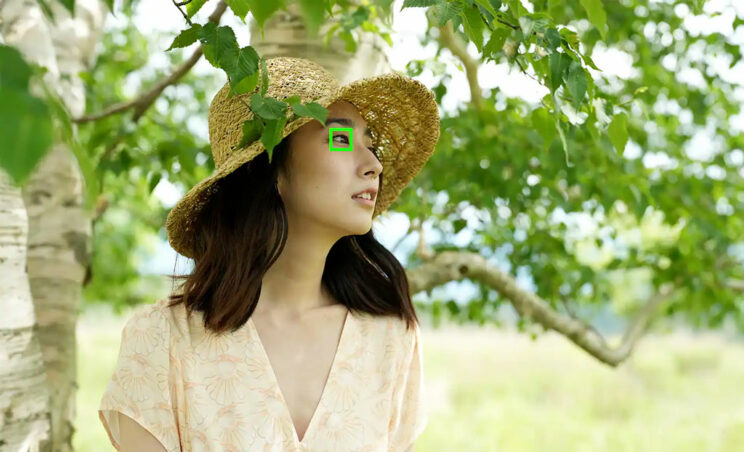 Asian woman under a tree, looking on the right, with a small green rectangle on her eye (simulating Eye AF)