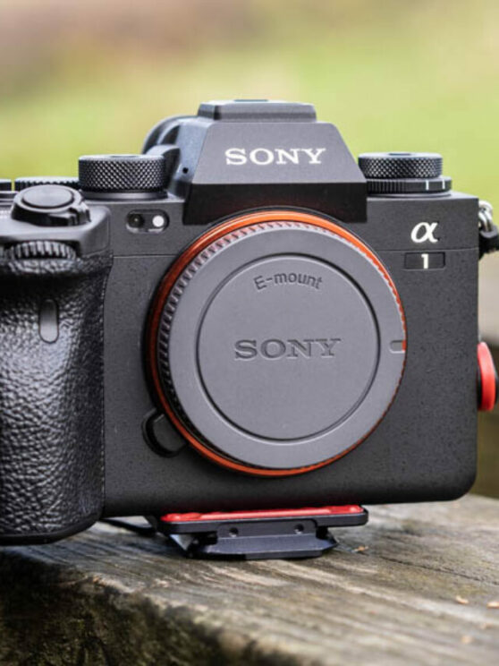 Sony A1, front view, with nature background