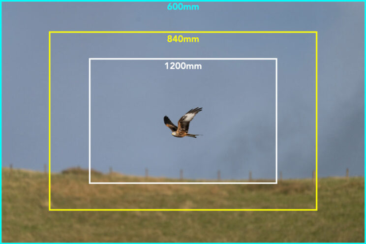 Difference between 600mm, 840mm and 1200mm, with an image of a red kite flying in the distance