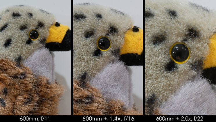 side by side image showing the sharpness of the Sony lens at 600mm with and without teleconverters, at f/11, f/16 and f/22 respectively