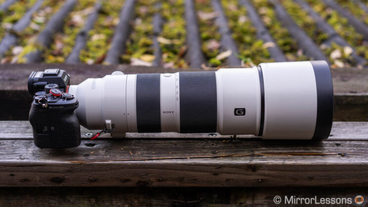 Sony A1 with 200-600mm attached
