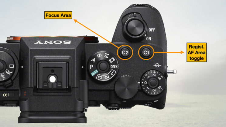 Sony A1, top view, with infographics showing the settings assigned to the two custom buttons