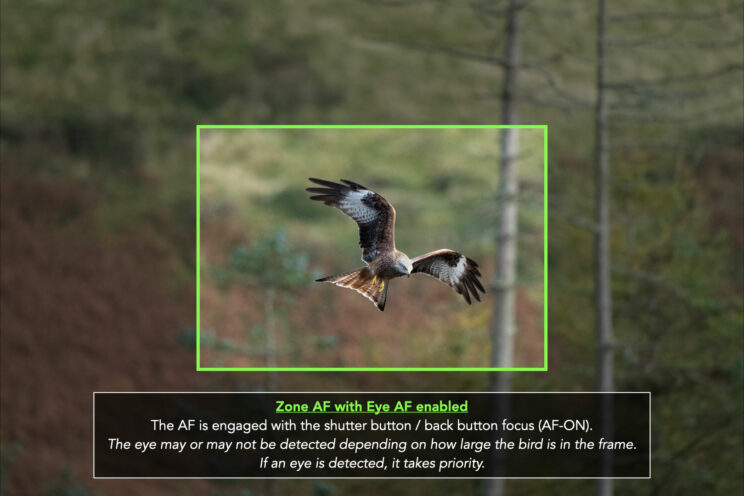 red kite flying, with green rectangle showing the Zone Area setting