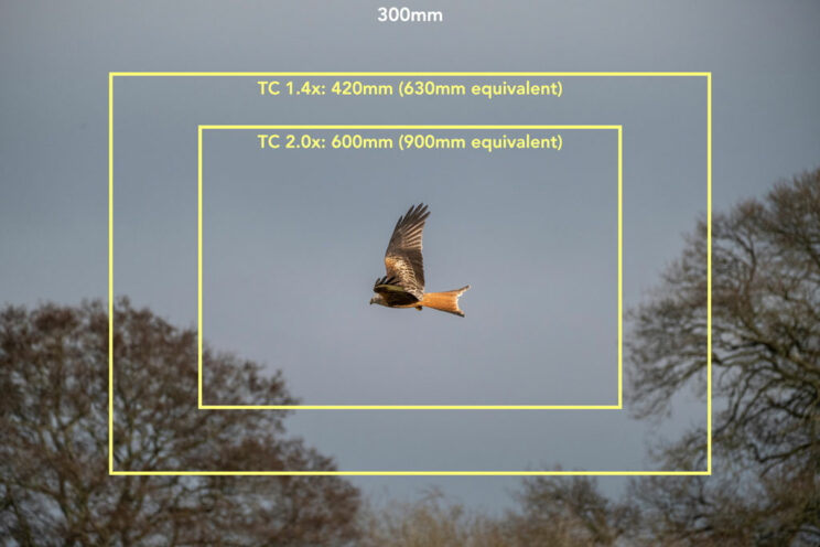 difference in field of view at 300mm with the teleconverters