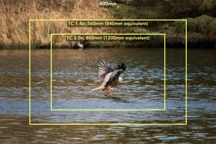 difference in field of view at 400mm with the teleconverters