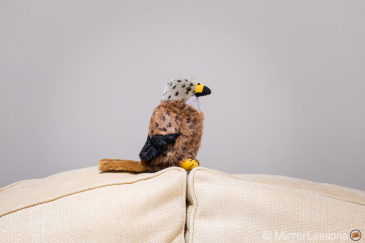 red kite stuffed toy on top of a couch, used for the stabilisation test