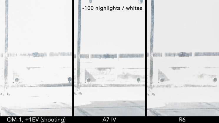 side by side crop showing the difference between the OM-1, A7 IV and R6 with -100 highlights and whites recovery