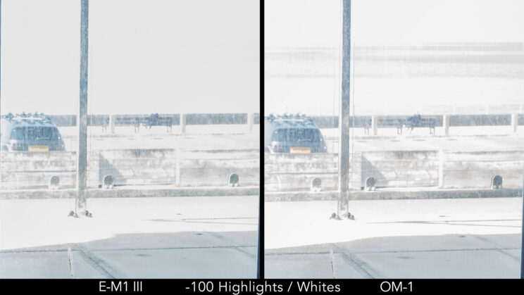 side by side crop showing the difference in noise between the E-M1 III and OM-1 with -100 highlights and whites recovery