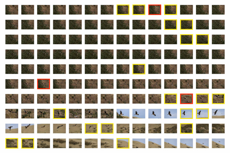 grid of thumbnail images representing a sequence of 140 photos