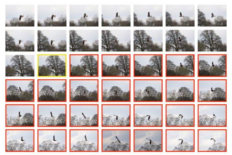 grid of thumbnail images representing a sequence of 42 photos