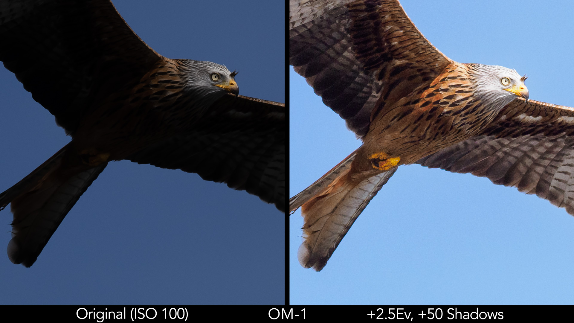 example of shadow recovery with red kite flying against the sky