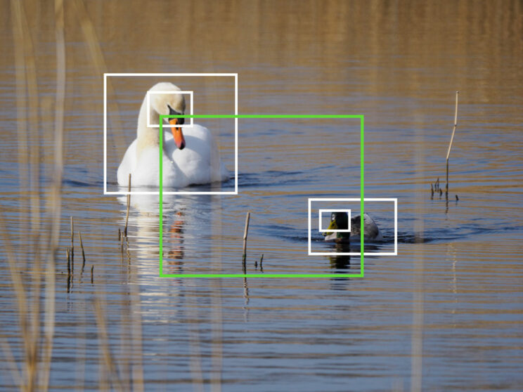 Swan and duck on a lake, with bright and green frames showing bird detection and the Target setting