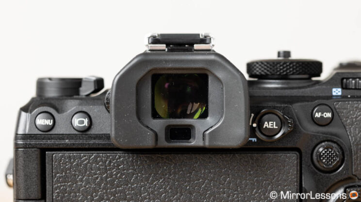 OM System OM-1 Review for Bird Photography - A 'WOW' camera or just “good”?  