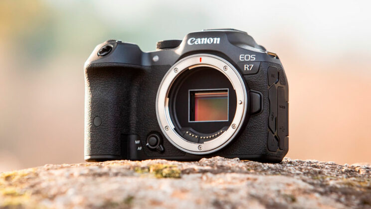 Canon R7 بدون غطاء استشعار