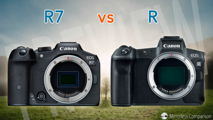 Canon R7 and EOS R side by side