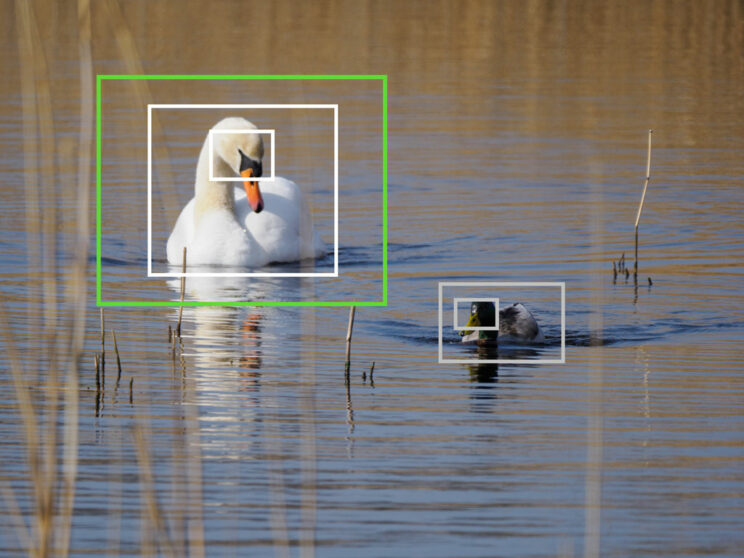 Swan and duck on a lake, with bright and green frames showing bird detection and the Target setting