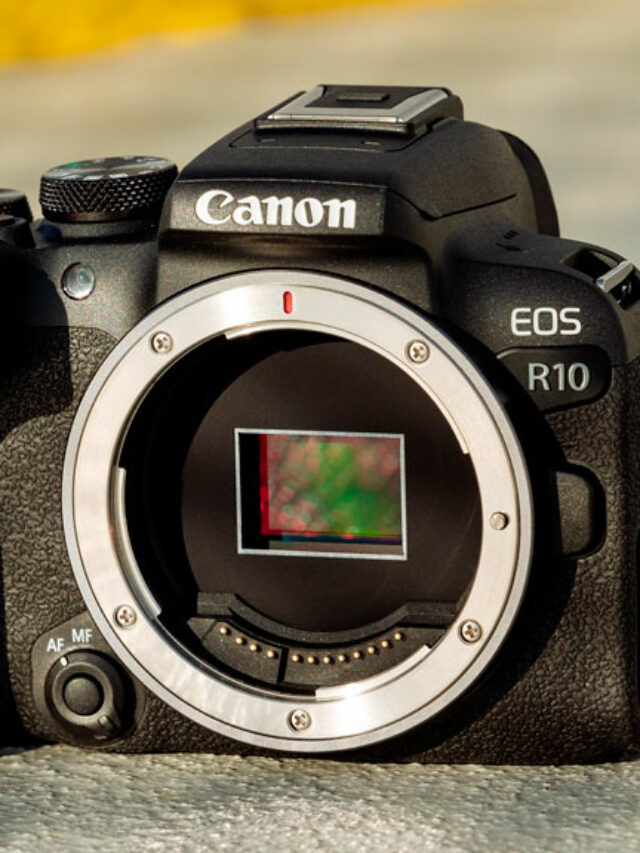 Canon R10 vs R100 – The 5 Main Differences