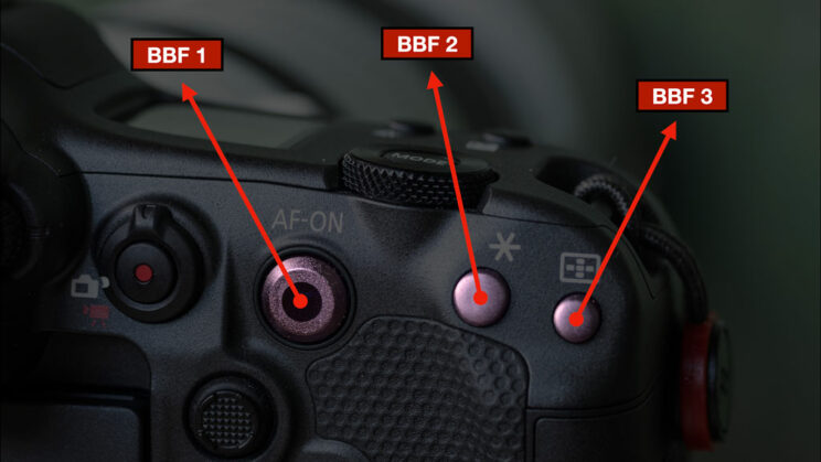 The three back button focus on the Canon R3