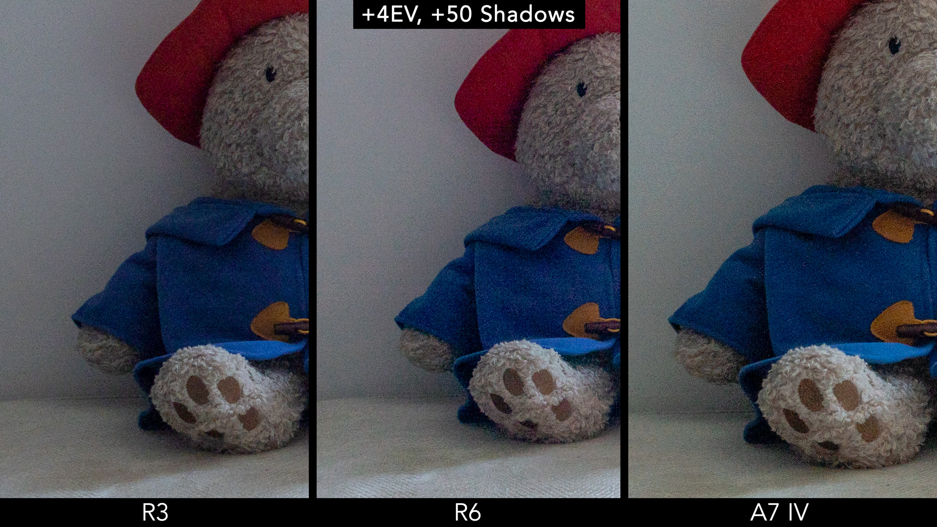 Side by side crop showing the quality in the shadows for the R3, R6 and A7 IV after 4 stops recovery.