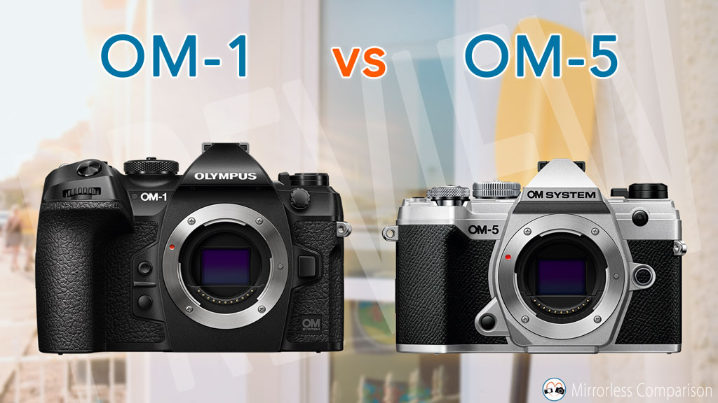 OM system OM-1 vs OM-5 - The 10 Main Differences - Mirrorless