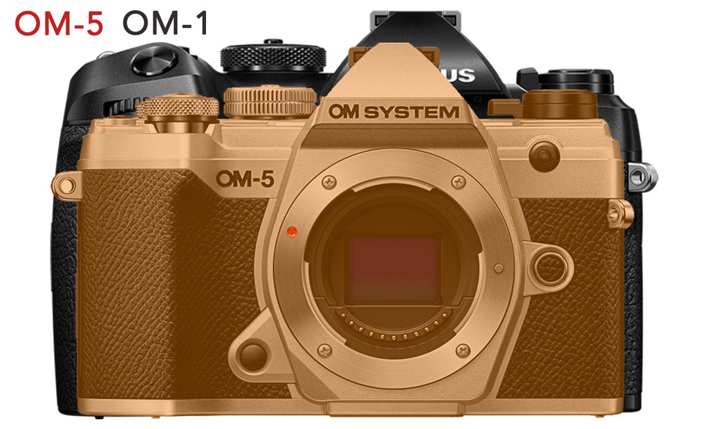 Size difference between the OM-1 and OM-5, view from the front.