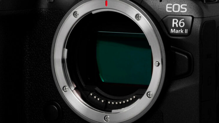 Close-up on the EOS R6 II sensor