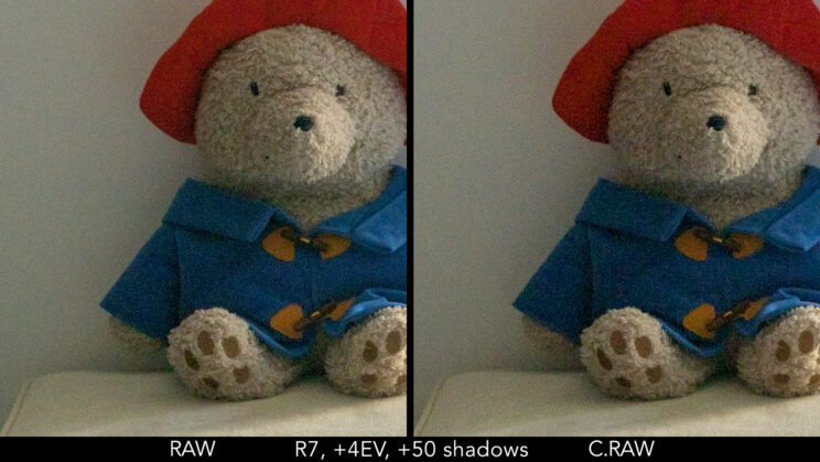 Side by side crop showing 4 stops exposure recovery in the shadows with RAW and C.RAW.