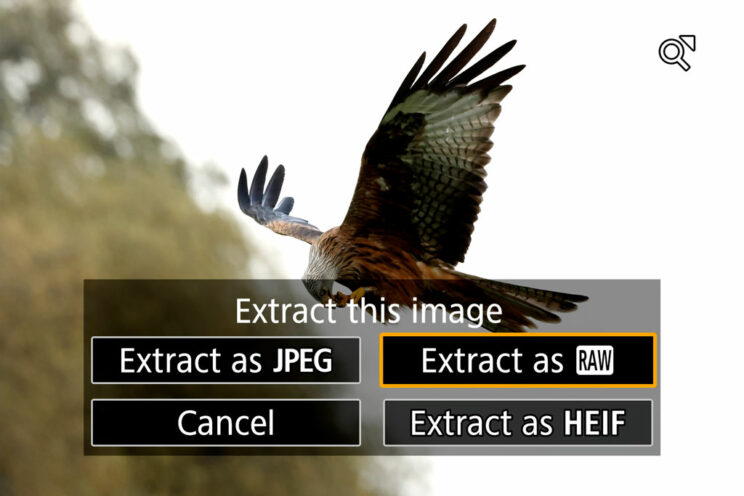 Screenshot of the Canon R7 menu showing how to extract a single RAW file.